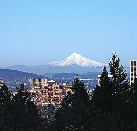 Untitled design (16)_edited.jpg