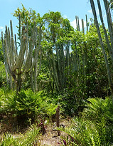 sendero-ecologico-y-arqueologico-padre-n