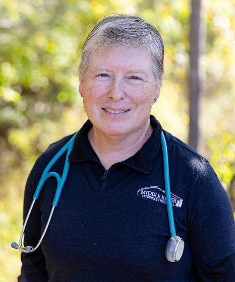 Dr. Dobyns at Middle River Veterinary Hospital in Verona, Virginia