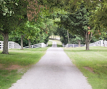 Untitled design (26).png