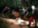 Trail Work 7