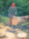 Trail Work 2