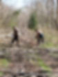 Trail Work 3