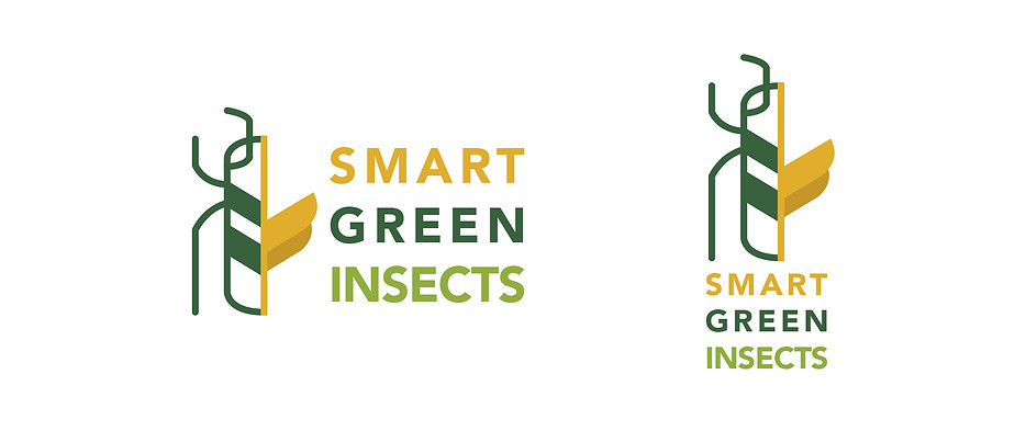 INSECTS 1.jpg