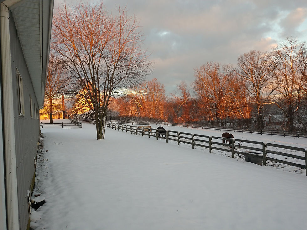 Sunrise over the barn