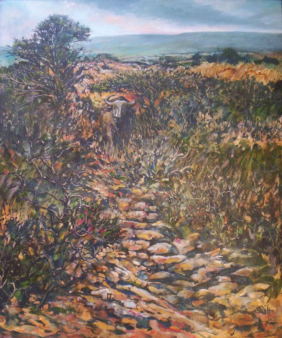 0303 Addo Buffalo 55x65