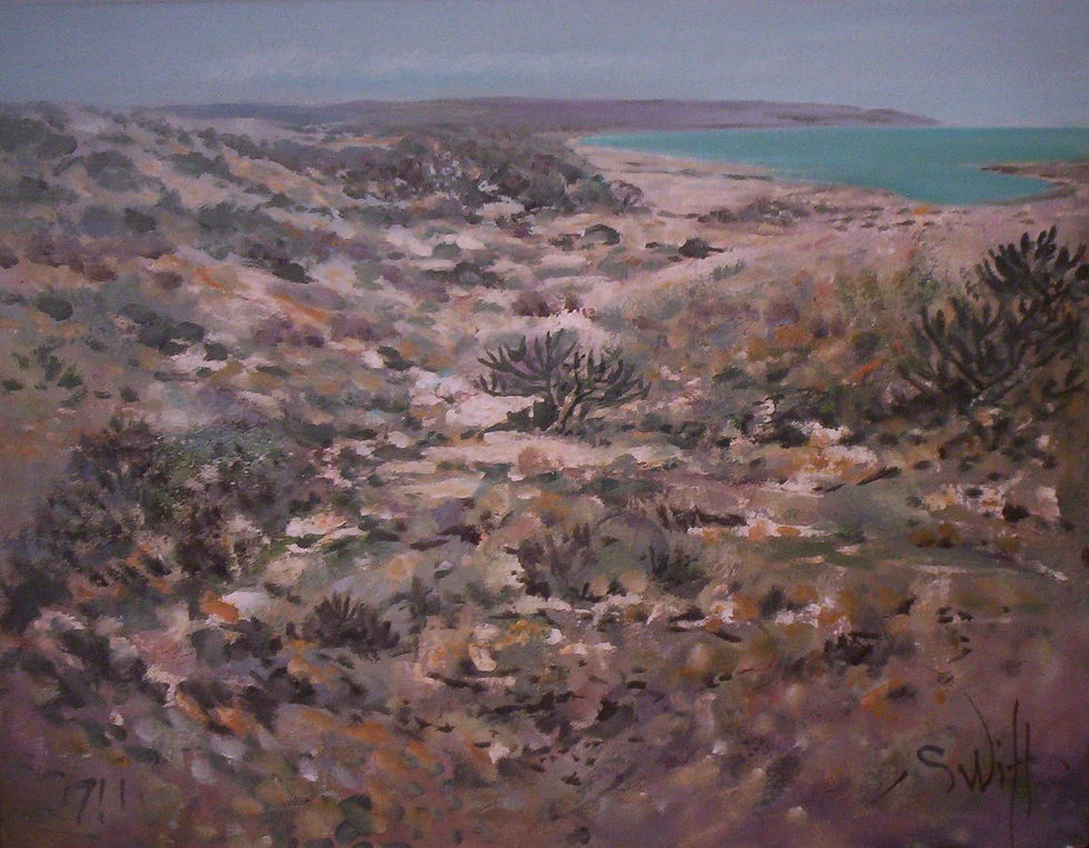 1711 Elandsbaai Point 45x35