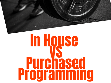 In House Vs Purchased Programming - The Debate