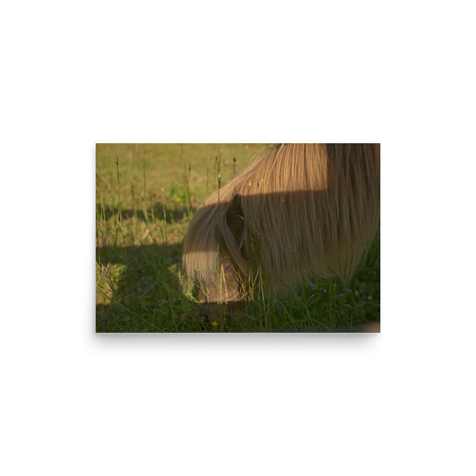 Thumbnail: Poster horse