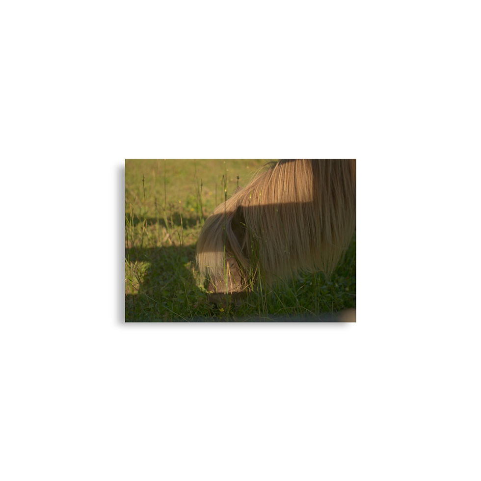 Thumbnail: Poster horse
