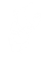 OSAA Logos (1)_edited.png