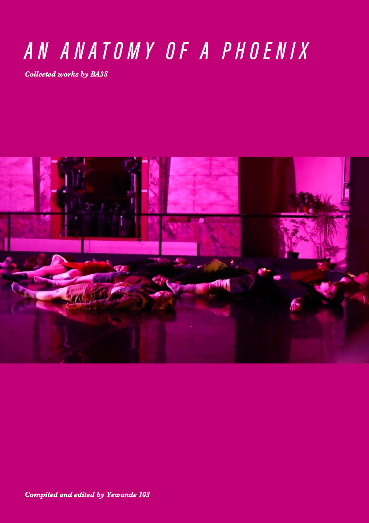 An Anatomy Of A Phoenix