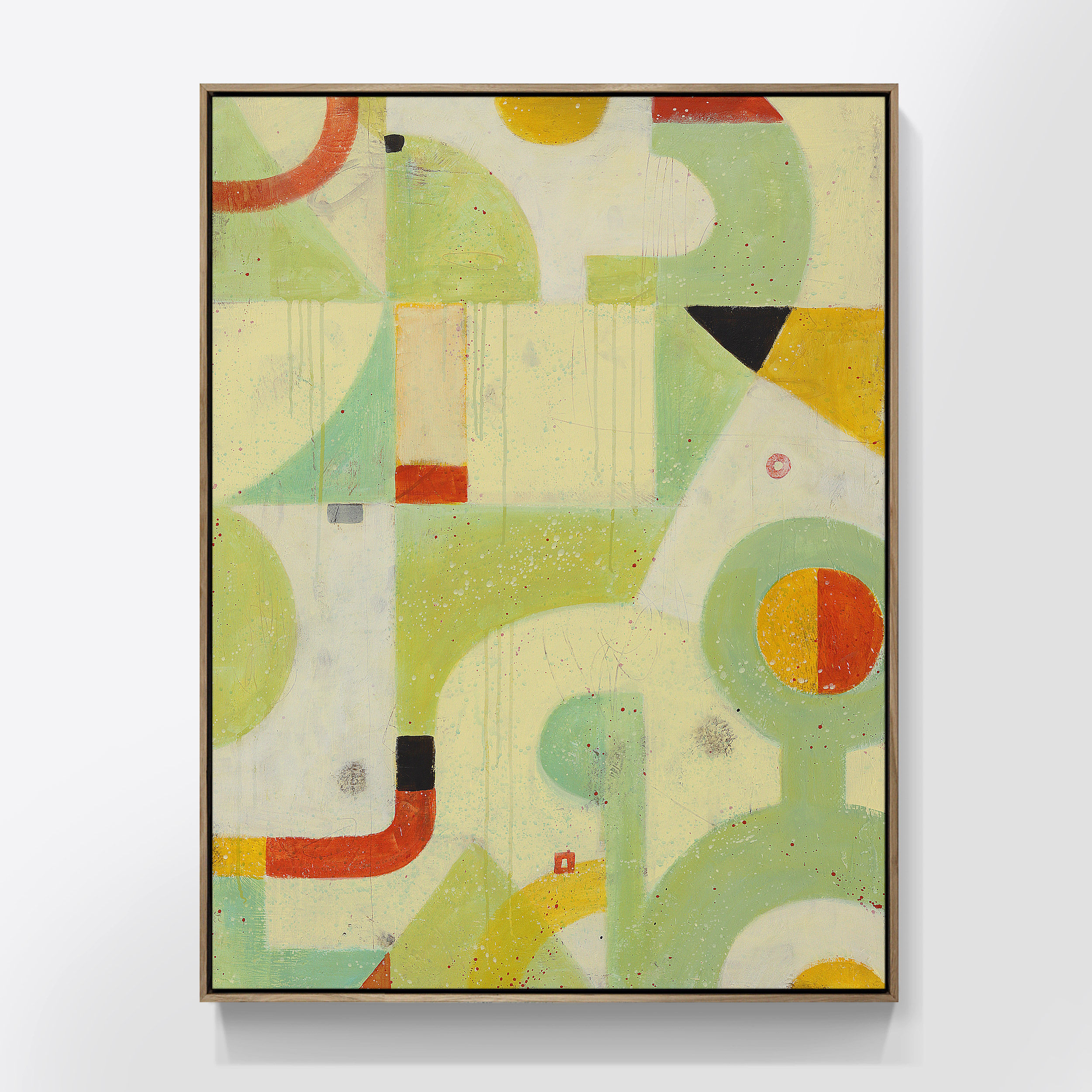 Carp fishing in Qeanbeyan