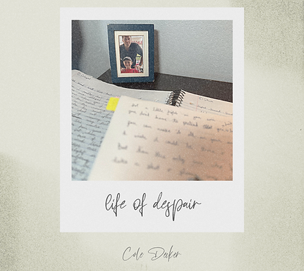 Life Of Despair