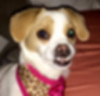 22789046_10214679839615211_4278400081788