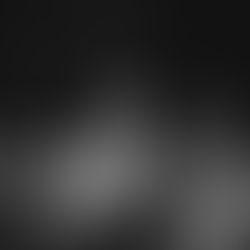 A Kiss from Rose | End-of-the-Year Reflection