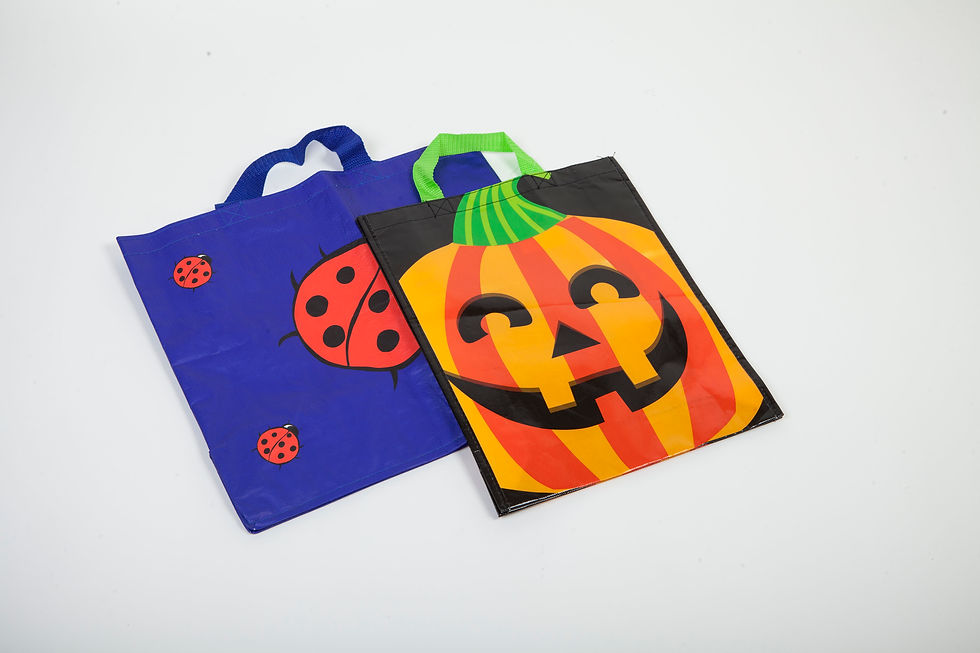 Shopping Bag
