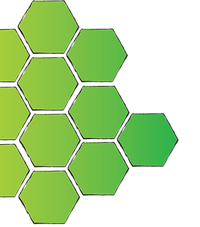 RFS logo-trans-rt.png
