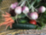 IMG_3979.jpeg