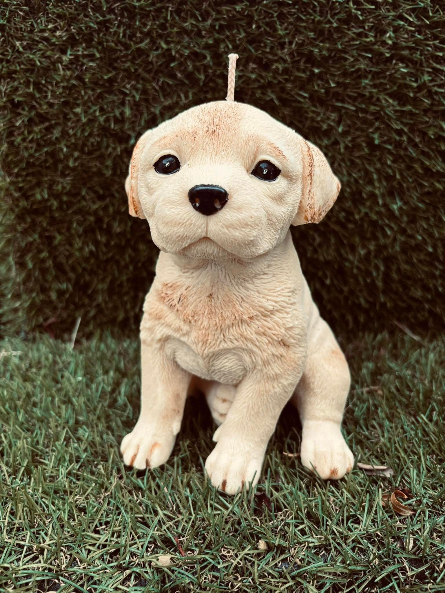 Labrador Puppy Candle