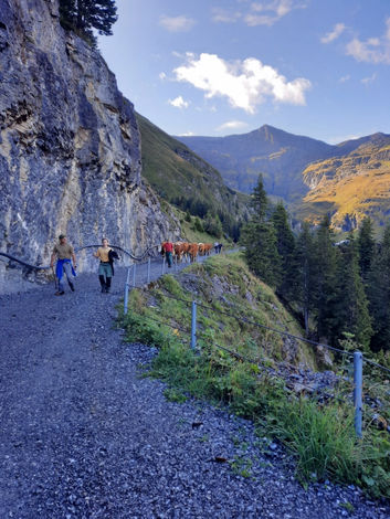 20210911_093531 [1280x768].jpg