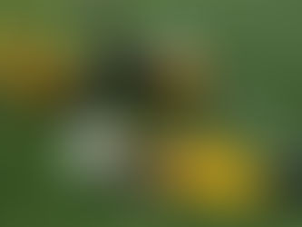 Protect your Neck: Strategies to Prevent Concussions in Football