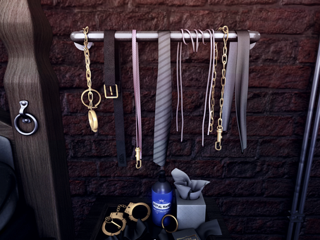 Playtime Wall Gear Rack (ft Short Leash)