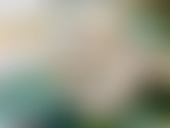 🌿 A Soft Reset for Spring