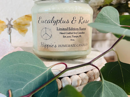 🌿 A Soft Reset for Spring