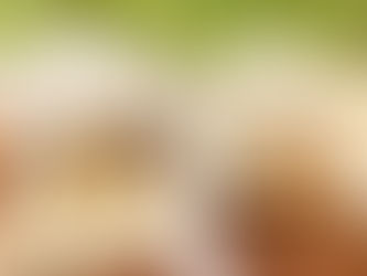 🌿 Why I’m Gently Transitioning from Farmers Markets to Online