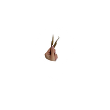 Set (2).png