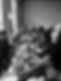 IMG_8244_edited.jpg