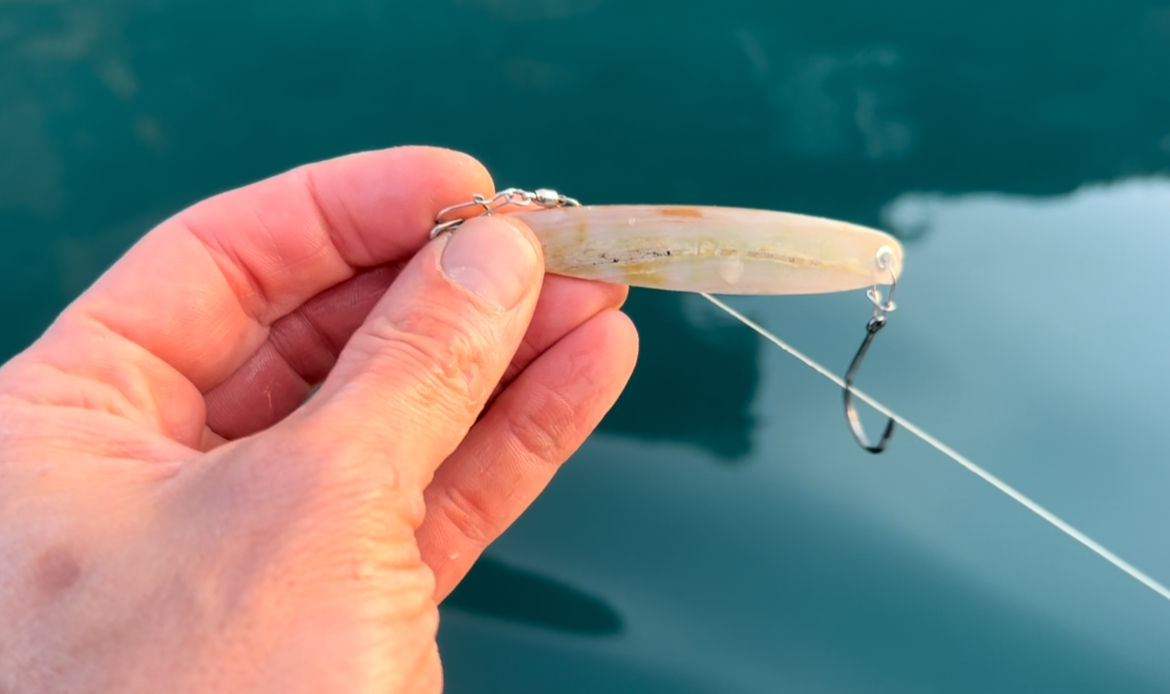 Rainbow - 80mm - eingestellt 3.6 - 4.0 km/h