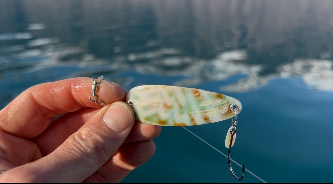 Rainbow mit Burgus Gamechanger - 67mm - eingestellt 2.0 - 2.4 km/h