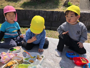 2025.4/8 きれいに咲き誇った桜のもとでお花見！