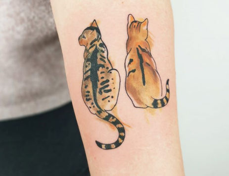 Katzen-650x500.jpeg