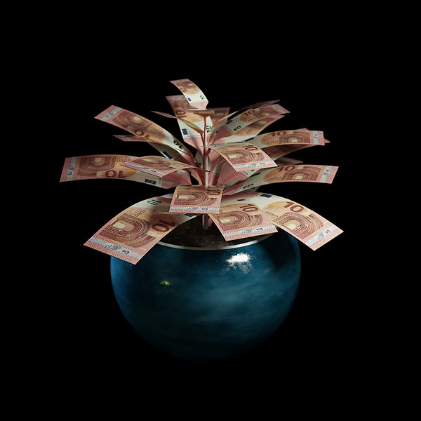 14ba lux  pianta 10 euro.jpg