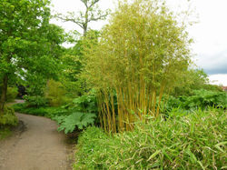 Picasa - P1070421.jpg