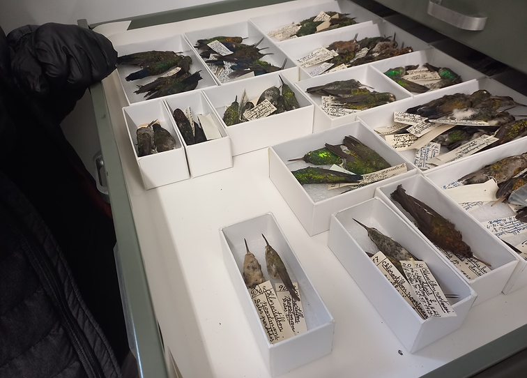 20221108_152544 (1).heic