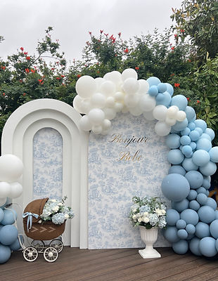 Party Backdrop