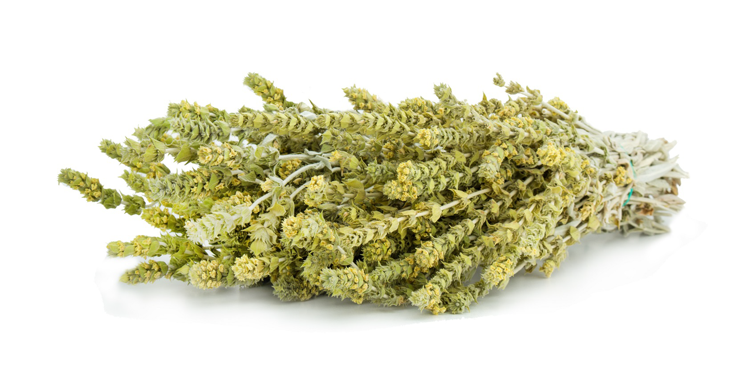 Griechischer Bergtee BIO