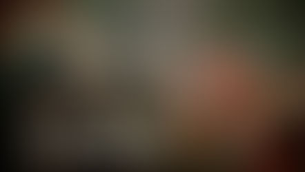 How Biblical Teaching Shaped the American Mind