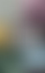 Book cover with a damaged bicycle, a church tower, and a suburban street. Text: "Out of the Crash" by Susan Poole. Mood: somber.