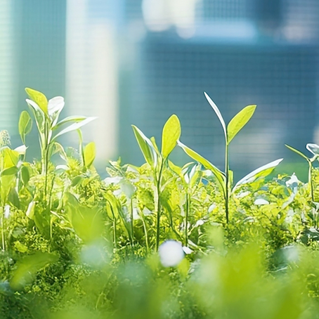 2026 : L’IMMOBILIER DURABLE, UNE RESOLUTION COLLECTIVE