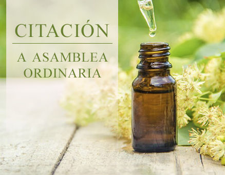 Importante: Citación a Asamblea Ordinaria