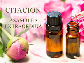 ASAMBLEA EXTRAORDINARIA DEL 13 ENERO 2026