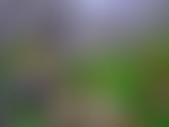 Monsanto - Portugal’s magical retreat