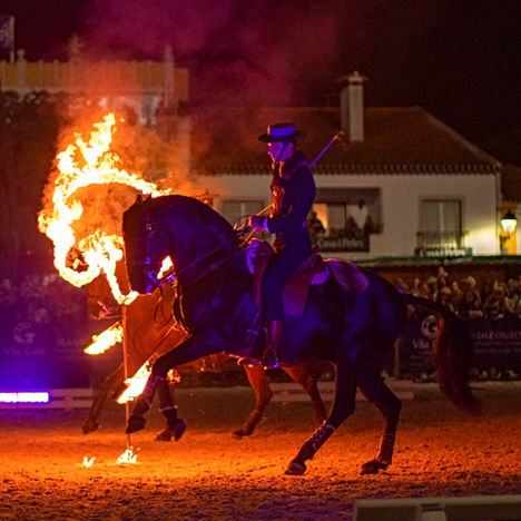 La magnifique foire aux chevaux lusitaniens du Portugal