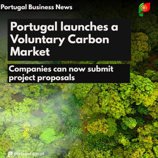 Portugal´s Voluntary Carbon Market now has more investment incentives