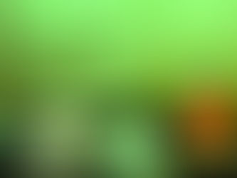 How to obtain Portugal’s € 4000 EV support for buying an electric car?